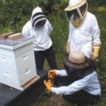 Students in beekeeping suits standing around a hive