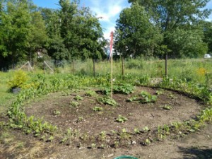 Medicine Wheel Garden - Native Wellness Garden 2015-2