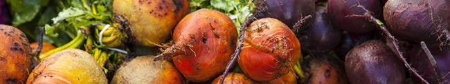 organic golden and purple beets, Farmers Market