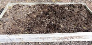 Putting Your Garden to Bed for Winter