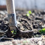 Shovel dug into soil