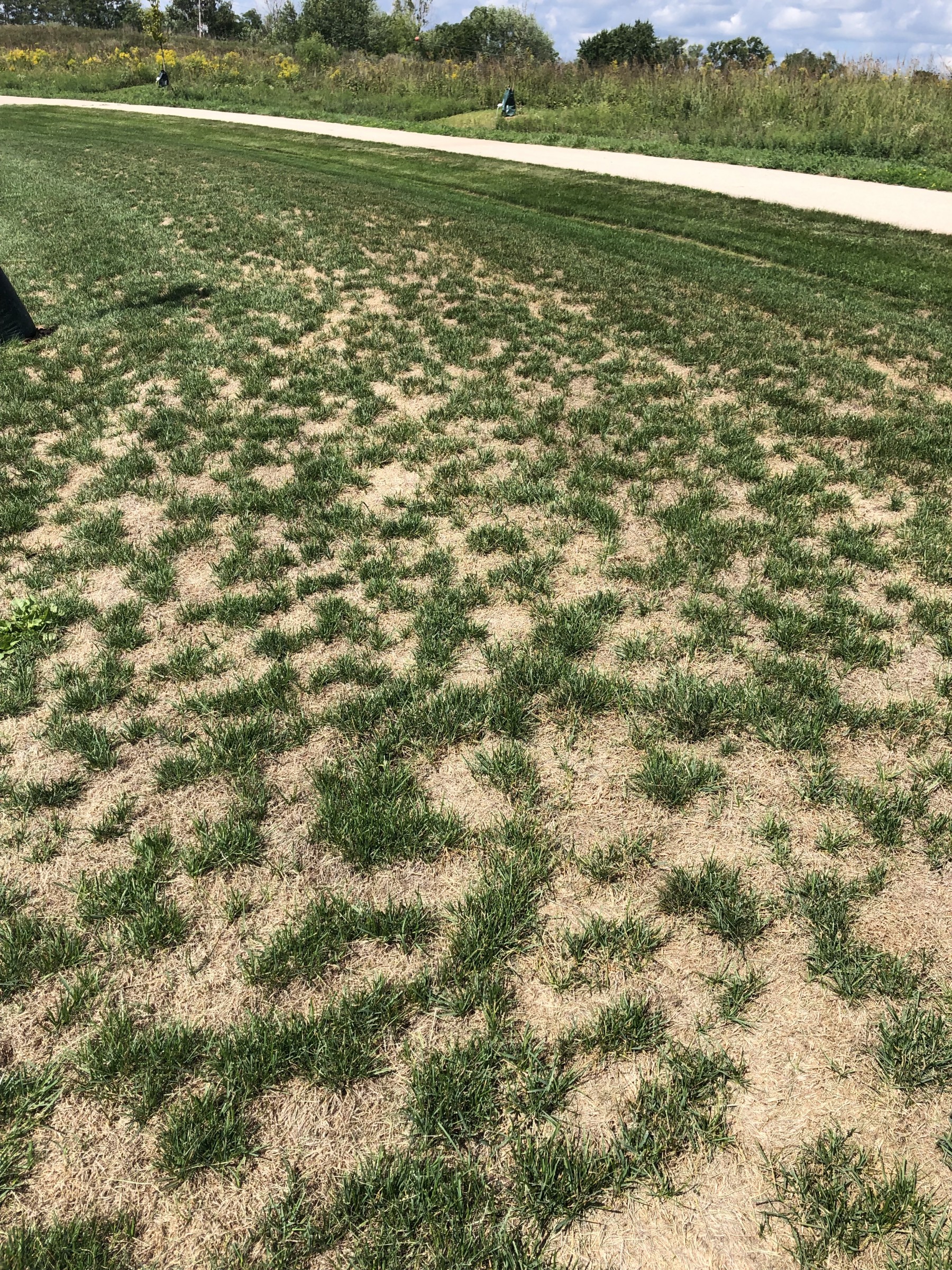 Info on grass ring : r/lawncare