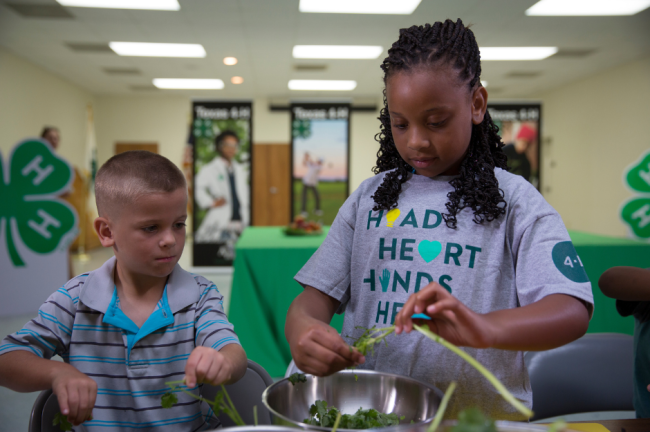 A young black girl wearing a 4H t-shirt shows a young white boy how to prepare kale