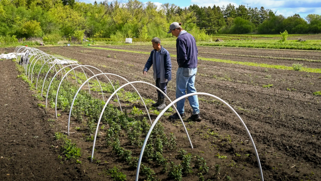 2 people walking in a plot looking at a garden
