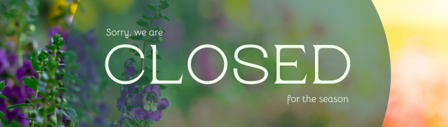 Graphic with floral background that says Sorry we are Closed for the season