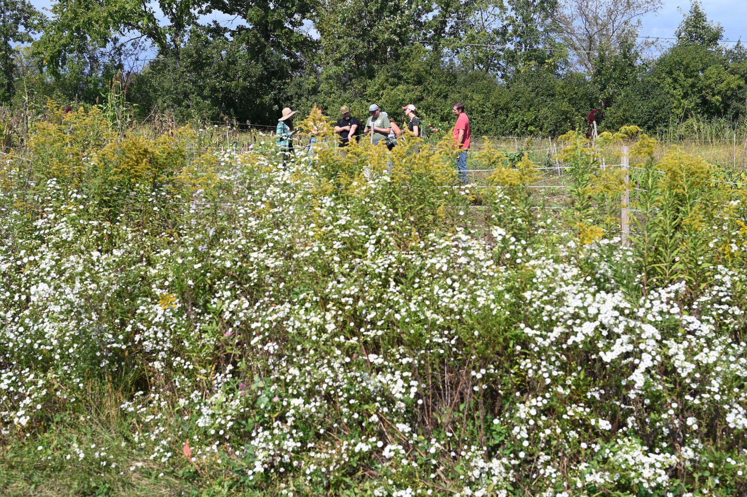 A group of 6 people standing in the middle of a large garden